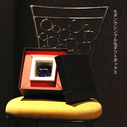 �Ĥ��Х� �ץꥶ���֥ɥե� �ߥ˥�å�������BOX