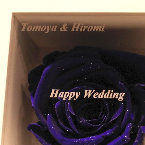 �Ĥ��Х� �ץꥶ���֥ɥե� �ߥ˥�å�������BOX