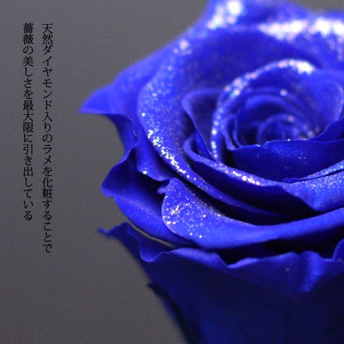 ターコイズパーツ　キラキラフレーム　青いプリザーブドフラワー薔薇入りネックレス プリザーブドフラワー／青とシルバーローズ11輪のキラキラ輝く