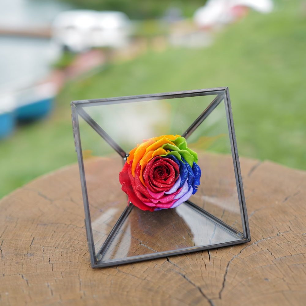 �쥤��ܡ������������饹�ե졼��ʥ֥�å���