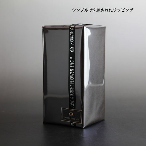 ԥ󥯥 ץꥶ֥ɥե 饹ɡ