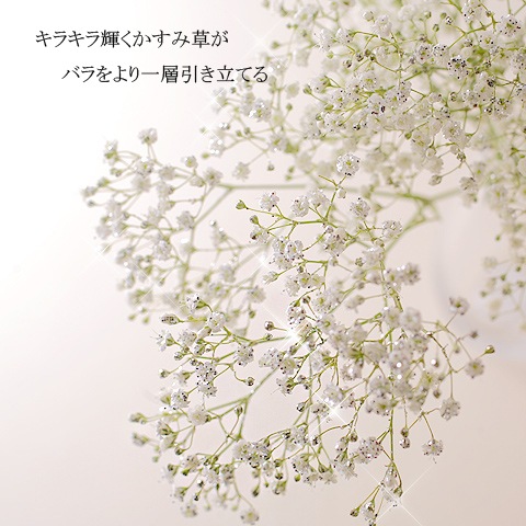 �֥롼����ɥۥ磻�ȥ�������20�ܤβ�«