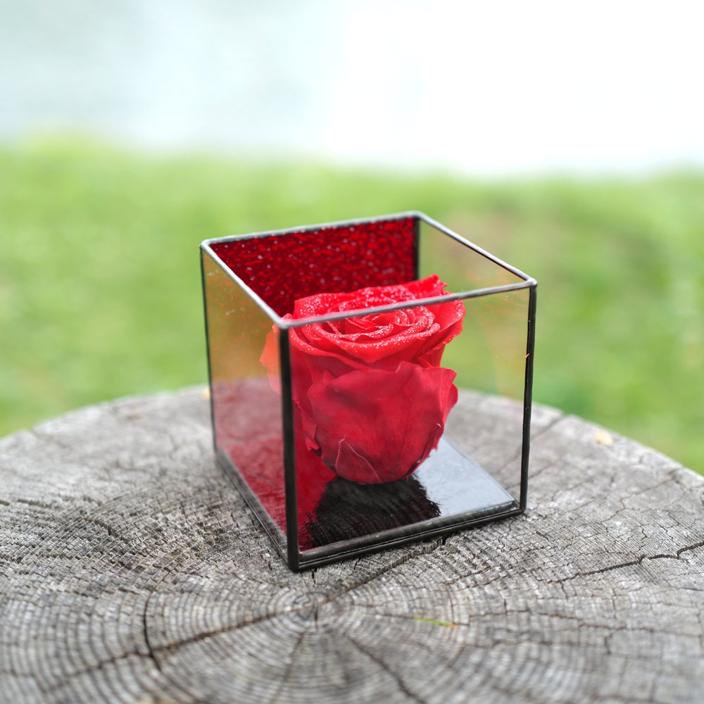 ���� �ץꥶ���֥ɥե���in ���ƥ�ɥ��饹