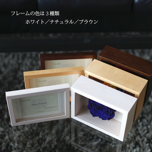 �Ĥ��Х� �ץꥶ���֥ɥե� �ե��ȥե졼�ࡡ�ʲ� L��������