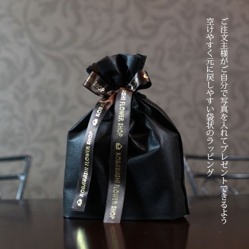 �Ĥ��Х� �ץꥶ���֥ɥե� �ե��ȥե졼�ࡡ�ʲ� L��������