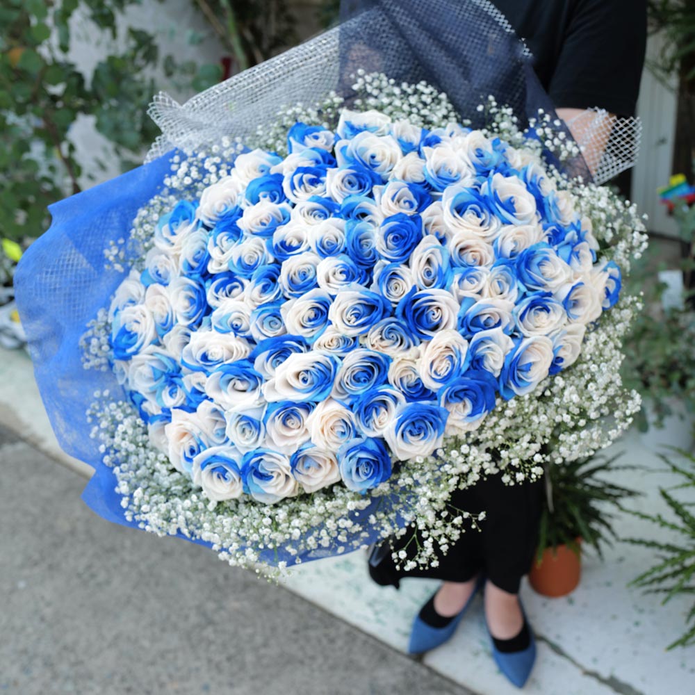 �֥롼����ɥۥ磻�ȥ��������ܿ������10�ܡ���