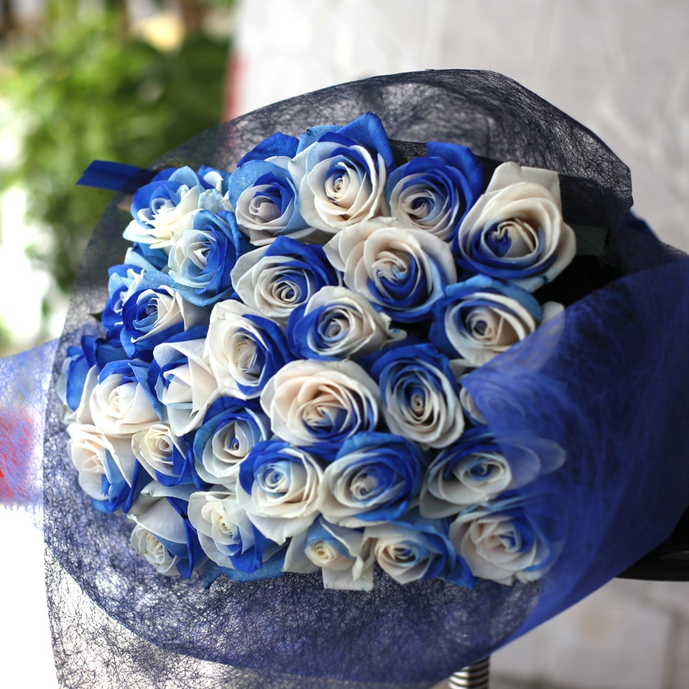 �֥롼����ɥۥ磻�ȥ��������ܿ������10�ܡ���