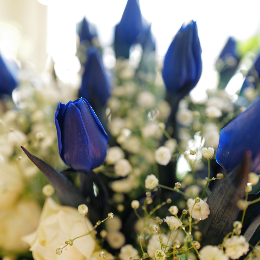 �Ĥ����塼��å�20�ܤȥ��饭�餫������Υ���󥸥��ȡʵ�������