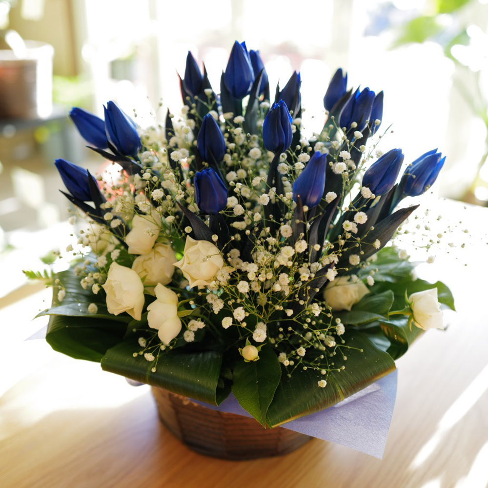 �Ĥ����塼��å�20�ܤȥ��饭�餫������Υ���󥸥��ȡʵ�������