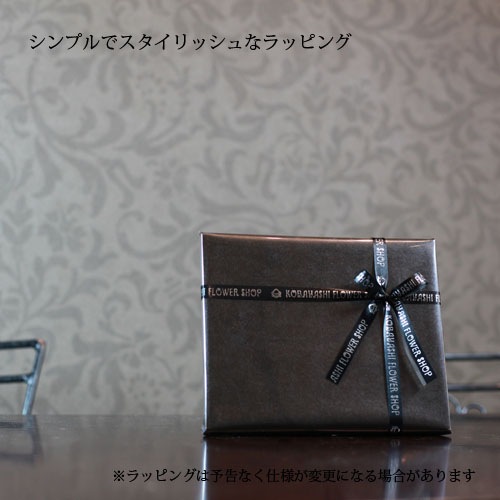 ԥ󥯥 ץꥶ֥ɥե 8BOX Large