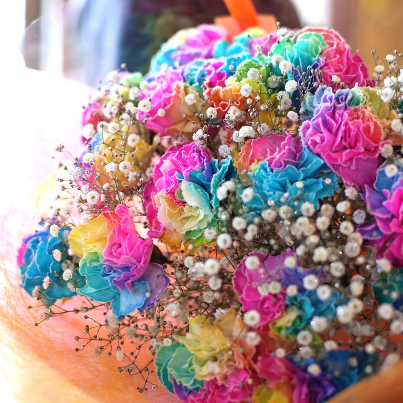 レインボーカーネーション本の花束 キラキラかすみ草付 バラ 生花 レインボーカーネーション 花束 Roseshop 青いバラ レインボーローズの専門店