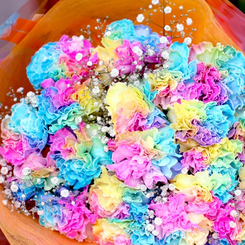 �쥤��ܡ������͡������30�ܤβ�«�ʥ��饭�餫�������ա�