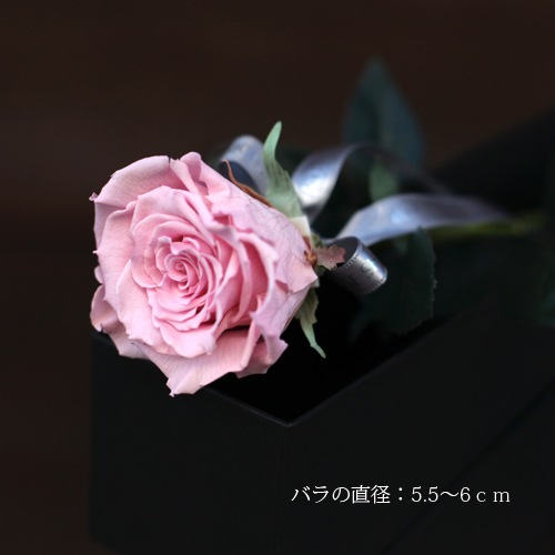 ԥ󥯥 ץꥶ֥ɥե ĹBOXե