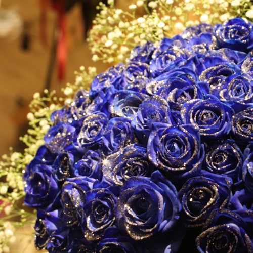 超特大花束！キラキラ青いバラ300本 キラキラかすみ草付 | バラ・生花