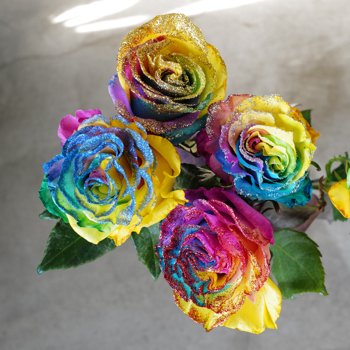 �쥤��ܡ����������ܿ�����