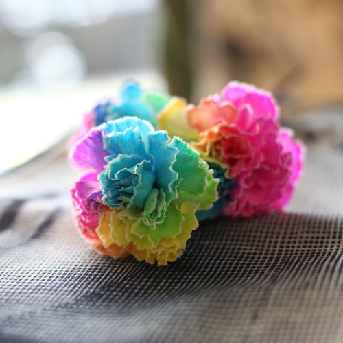 レインボーカーネーションとカラフルカーネーションのミニアレンジ バラ 生花 レインボーカーネーション フラワーアレンジメント Roseshop 青いバラ レインボーローズの専門店