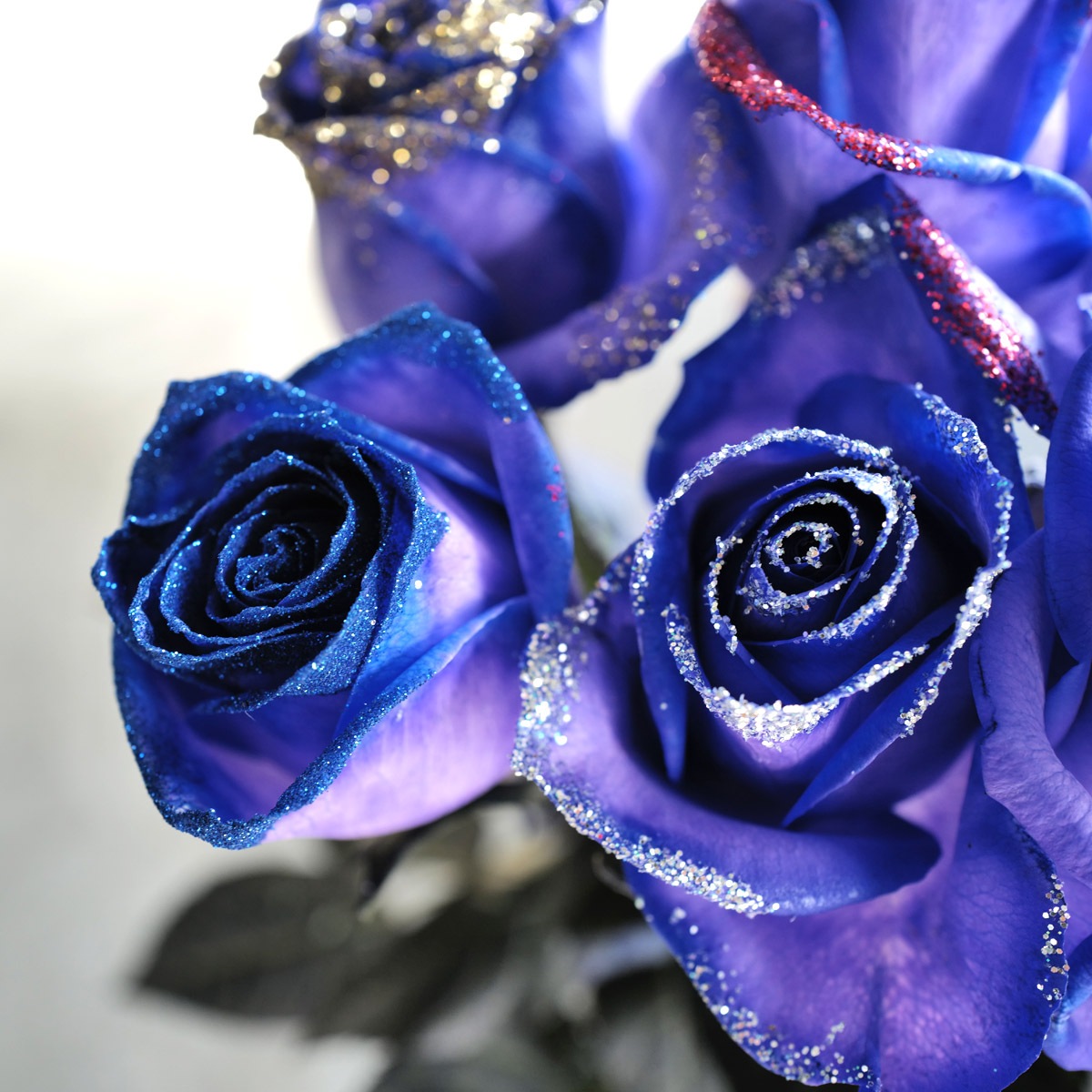 ��ΥХ顡30�ܤβ�«