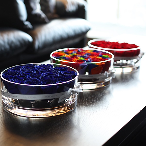 ĤХ ץꥶ֥ɥե ֥ꥢ(L)