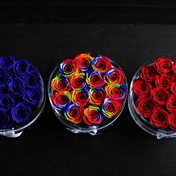 ĤХ ץꥶ֥ɥե ֥ꥢ(L)