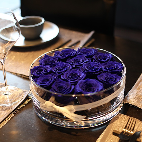 ĤХ ץꥶ֥ɥե ֥ꥢ(L)