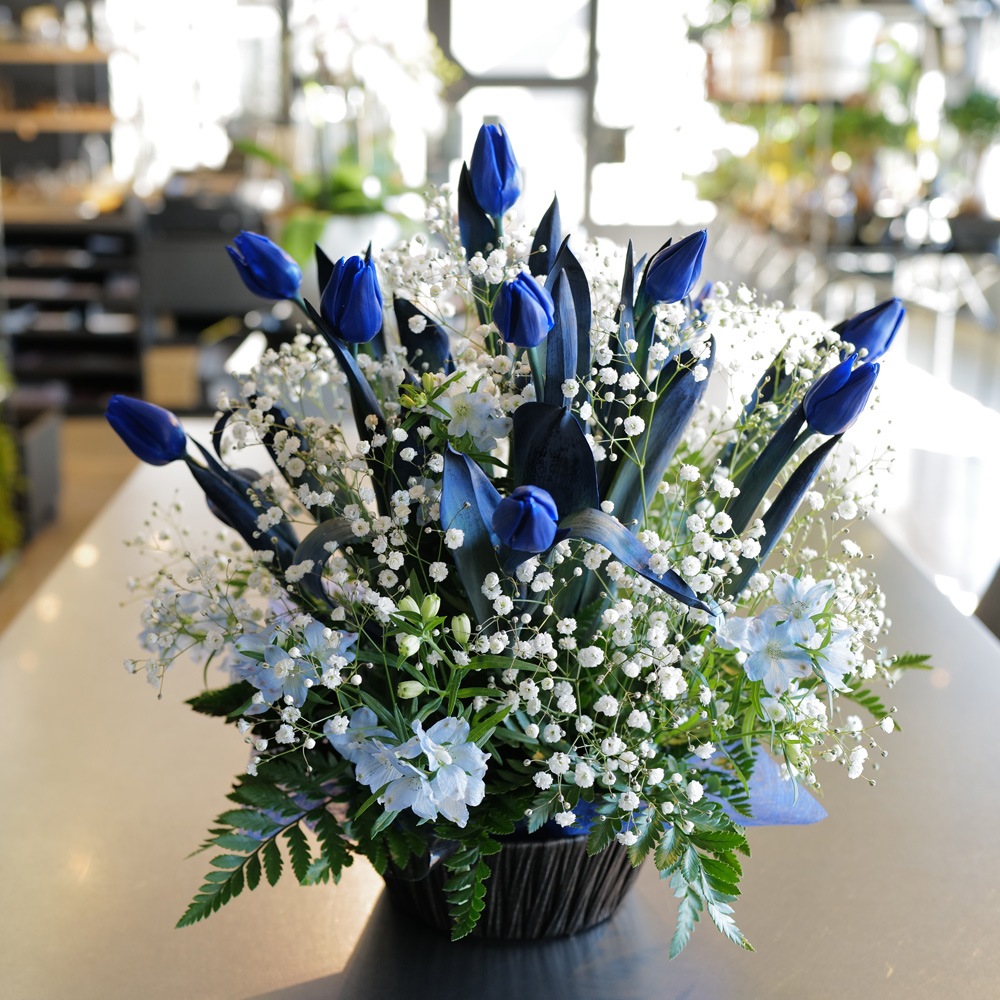 �Ĥ����塼��å�10�ܤȥ��饭�餫������Υ���󥸥��ȡʵ�������