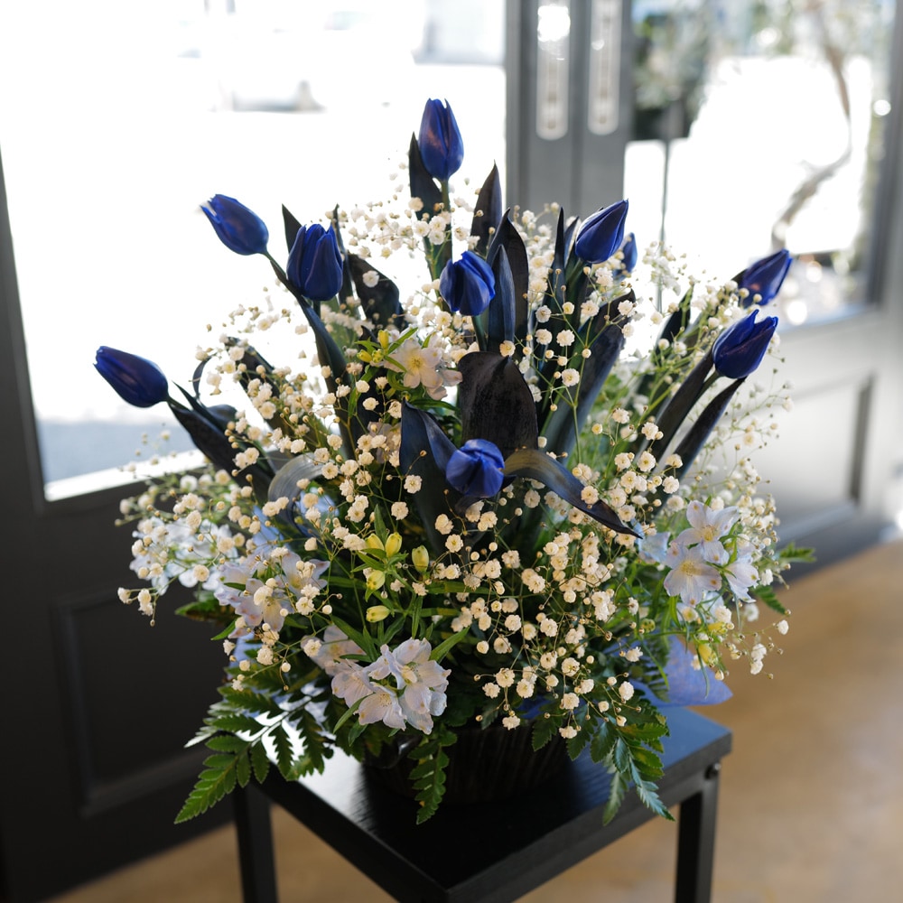 �Ĥ����塼��å�10�ܤȥ��饭�餫������Υ���󥸥��ȡʵ�������