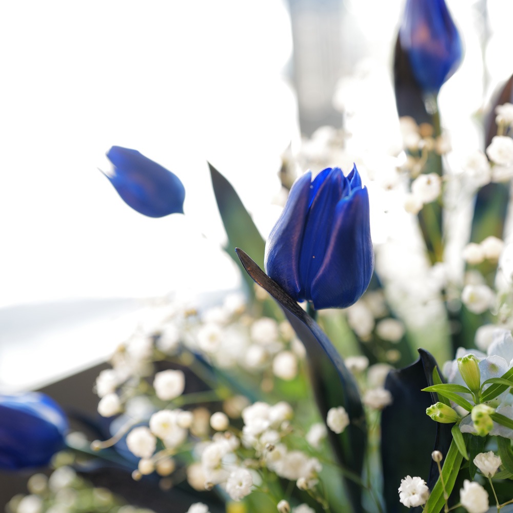 �Ĥ����塼��å�10�ܤȥ��饭�餫������Υ���󥸥��ȡʵ�������