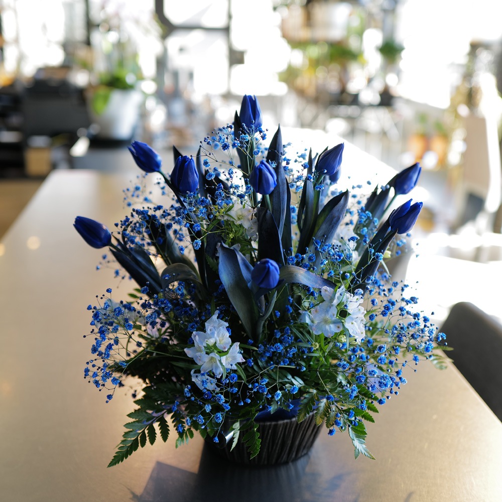 �Ĥ����塼��å�10�ܤȥ��饭���Ĥ���������Υ���󥸥��ȡʵ�������