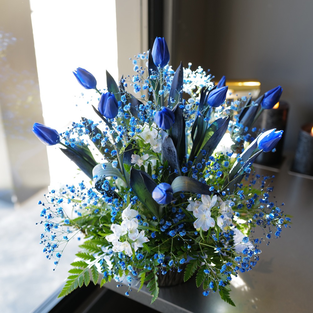 �Ĥ����塼��å�10�ܤȥ��饭���Ĥ���������Υ���󥸥��ȡʵ�������