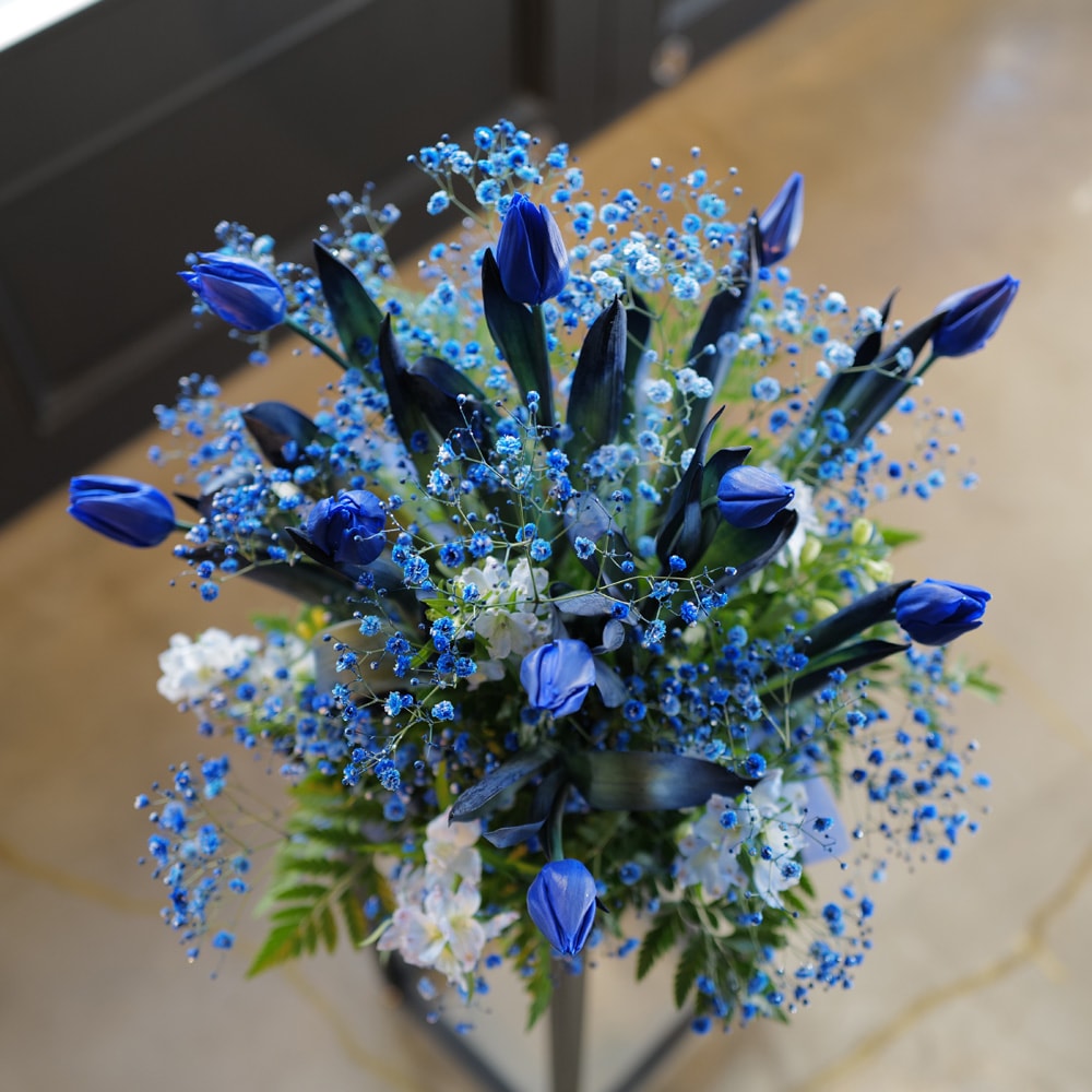 �Ĥ����塼��å�10�ܤȥ��饭���Ĥ���������Υ���󥸥��ȡʵ�������