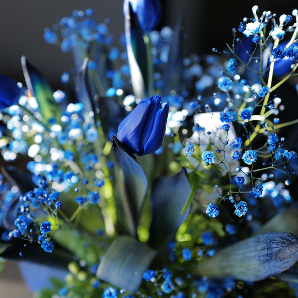 �Ĥ����塼��å�10�ܤȥ��饭���Ĥ���������Υ���󥸥��ȡʵ�������