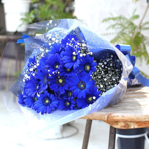 �Ĥ������٥�20�ܤȥ��饭�餫������β�«