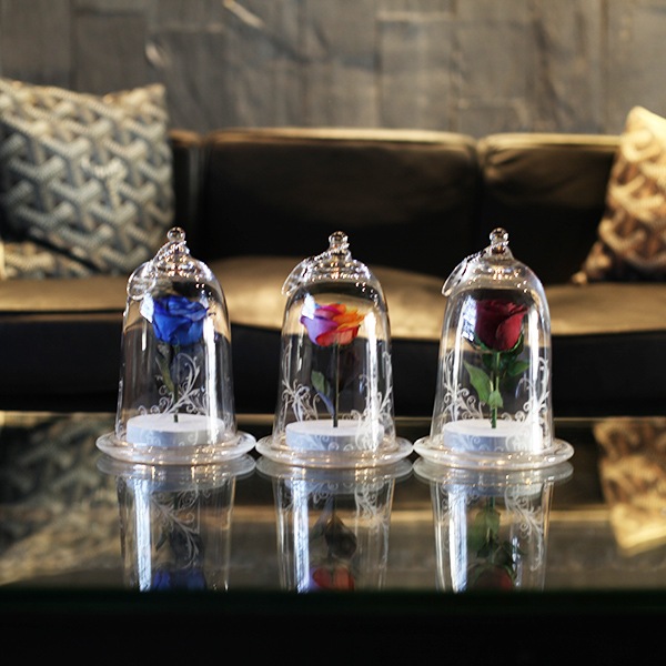 �ɥ饤�ե����Ĥ��Х顡�ޥꥢ�����塦���󡡥٥륿����