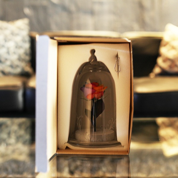 �ɥ饤�ե����Ĥ��Х顡�ޥꥢ�����塦���󡡥٥륿����