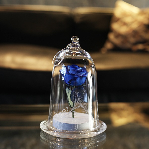 �ɥ饤�ե����Ĥ��Х顡�ޥꥢ�����塦���󡡥٥륿����