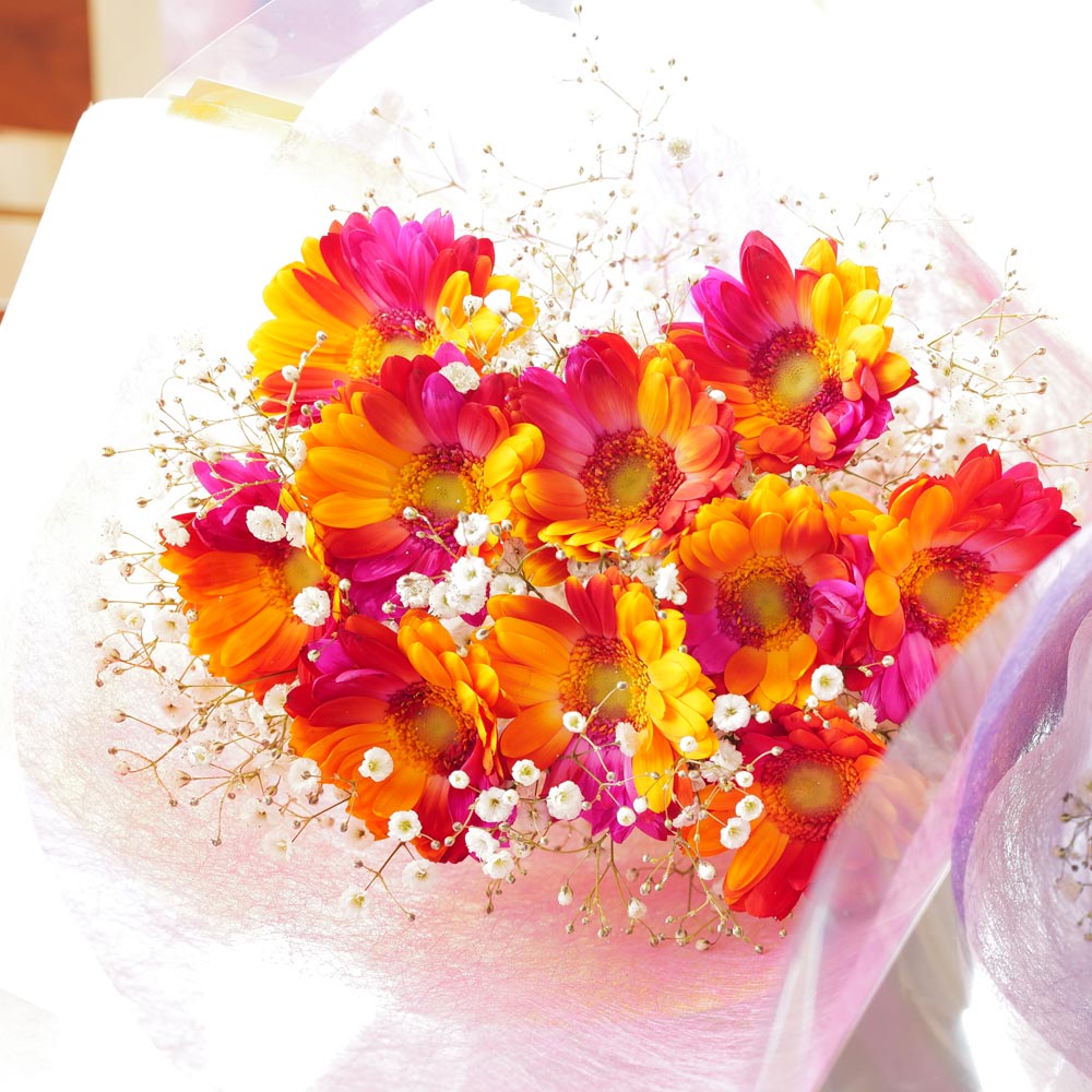 バイカラーガーベラ ピンク オレンジ 10本の花束 キラキラかすみ草付き バラ 生花 バイカラーガーベラ 花束 Roseshop 青いバラ レインボーローズの専門店