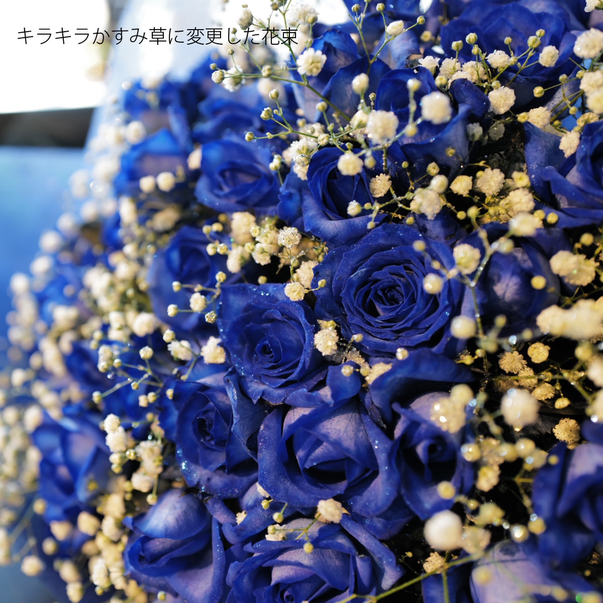 �Ĥ��Х�ʾ��ءˡ�100�ܤȤ�������β�«