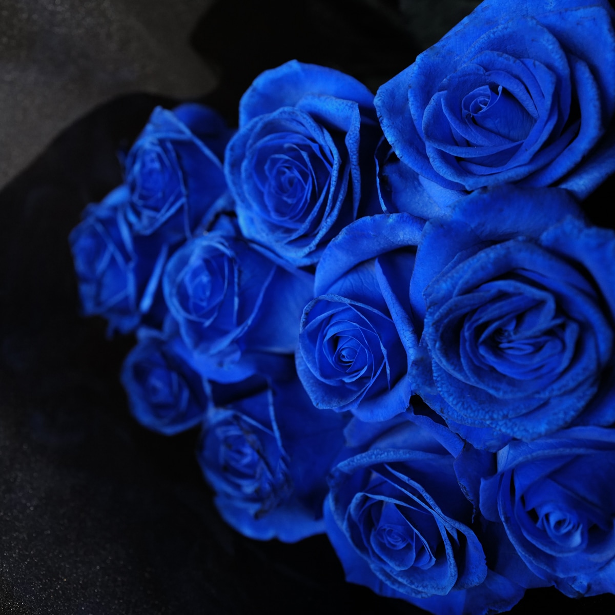 青いバラ 11本の花束 | バラ・生花,青いバラ,花束 | ROSESHOP 青いバラ