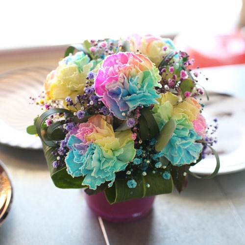 All Rainbow �쥤��ܡ������͡������ȥ쥤��ܡ���������Υߥ˥����