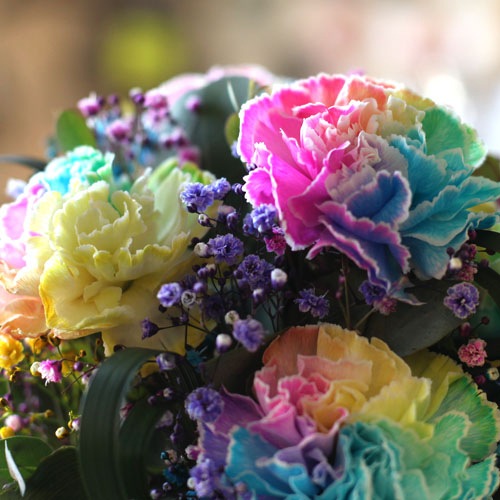 All Rainbow �쥤��ܡ������͡������ȥ쥤��ܡ���������Υߥ˥����