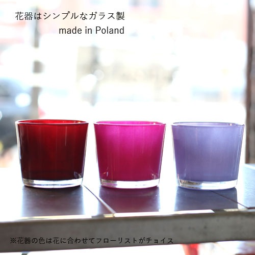 All Rainbow �쥤��ܡ������͡������ȥ쥤��ܡ���������Υߥ˥����