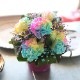 All Rainbow �쥤��ܡ������͡������ȥ쥤��ܡ���������Υߥ˥����
