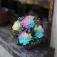 All Rainbow �쥤��ܡ������͡������ȥ쥤��ܡ���������Υߥ˥����