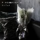 ���饭���Ĥ��Х顡11�ܤβ�«