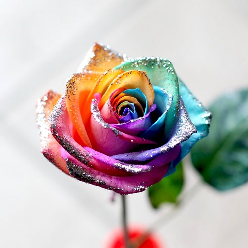 ���饭��쥤��ܡ���������11�ܤβ�«