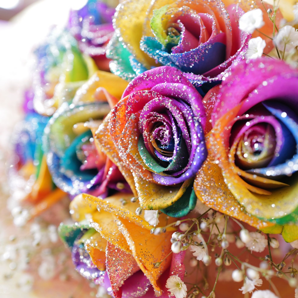 ���饭��쥤��ܡ���������11�ܤβ�«