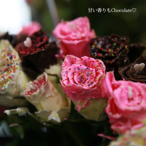 チョコレートローズ 50本の花束 色から探す チョコレート チョコレートローズ 生花類 花束 Roseshop 青いバラ レインボーローズの専門店