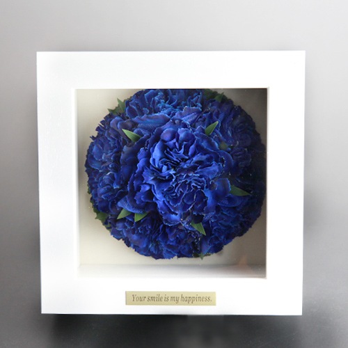 �ɥ饤�ե� �Ĥ������͡������ ���塼�ӥå�