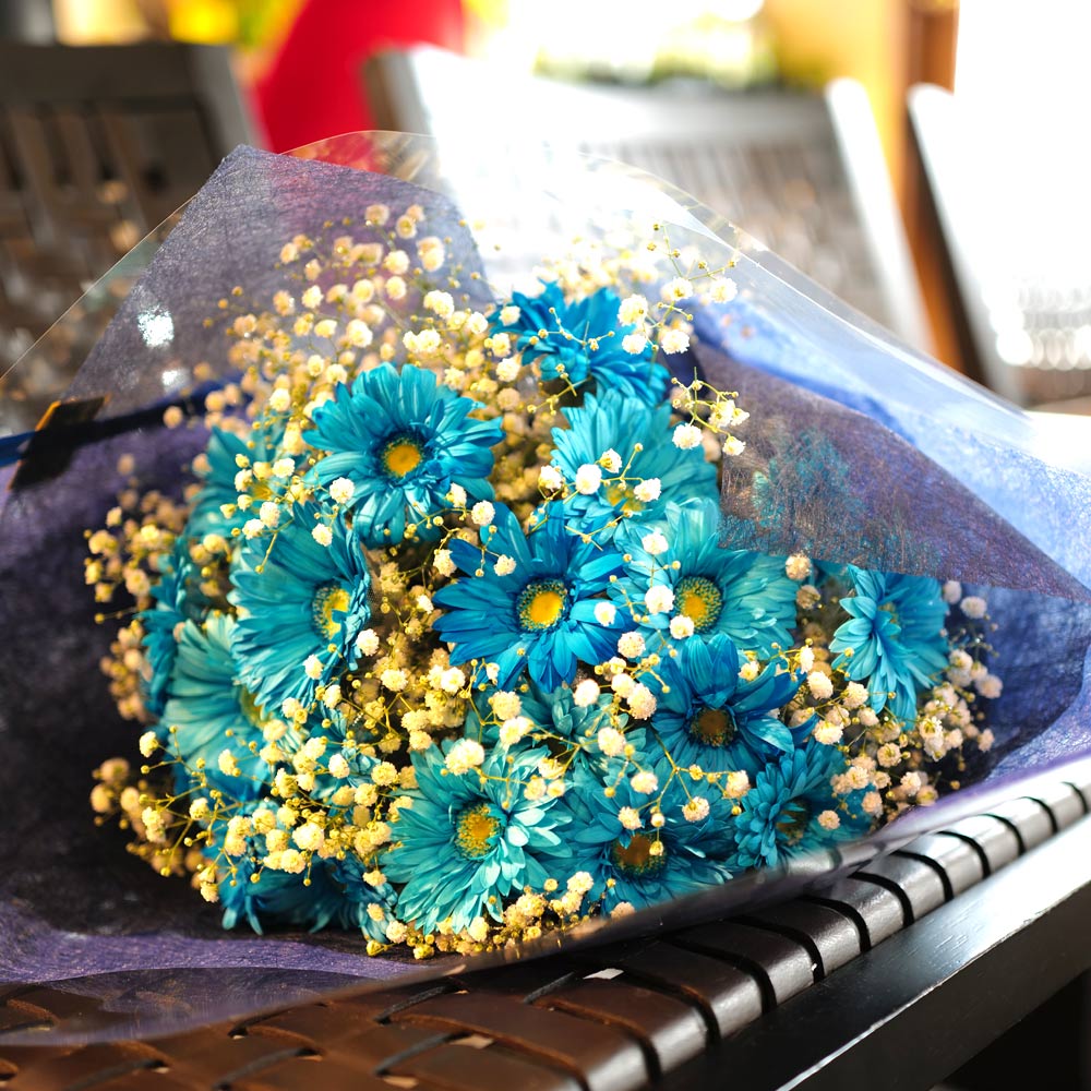 �忧�Υ����٥�20�ܤȥ��饭�餫������β�«