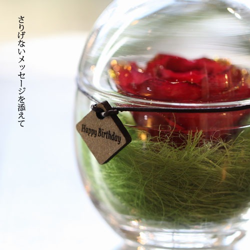 鯥ɥ ɥ饤ե ޤ饹